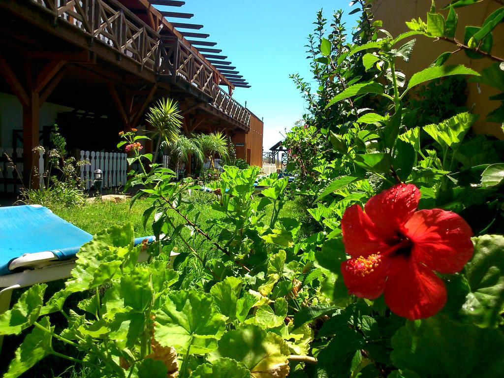 Hostal Playa Mazagón Extérieur photo